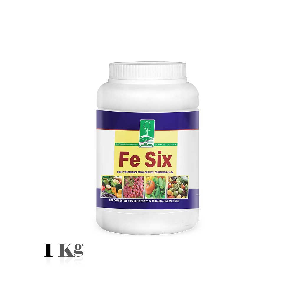  eddha fe 6