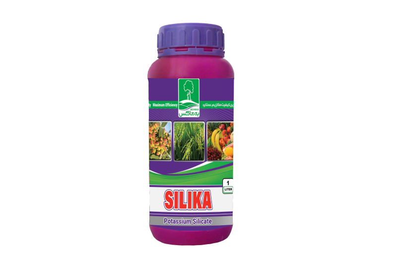 سیلیکات پتاسیم