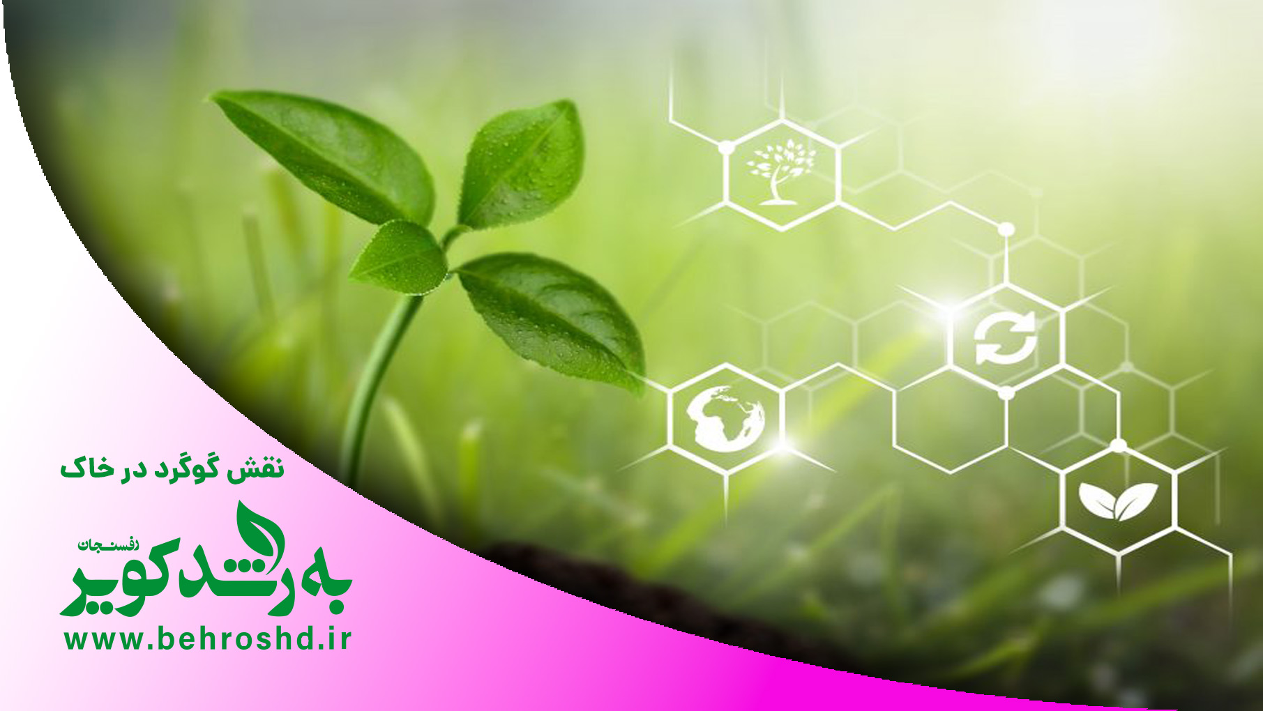 نقش گوگرد در خاک