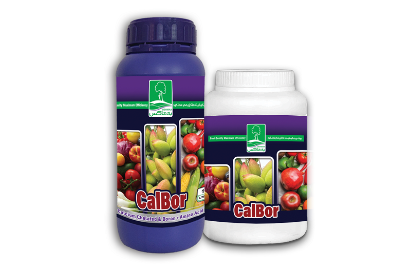 کلبُر(کلات کلسیم و بُر) CalBor
