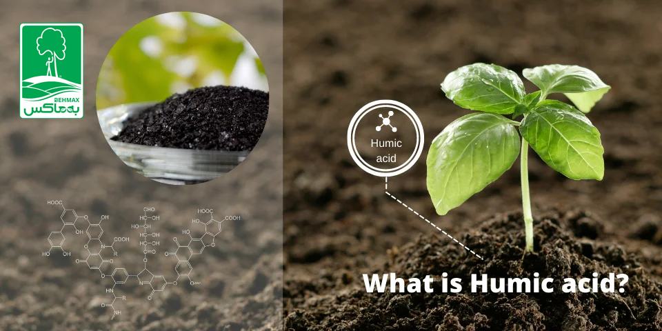 humic acids
