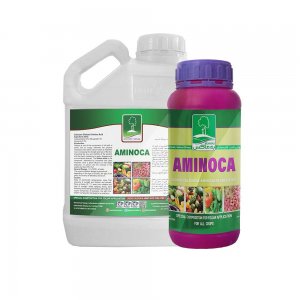 AminoCa