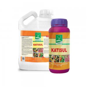 Katisul