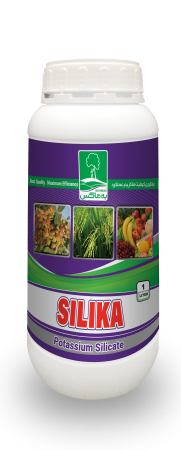 Bottlesilika withe