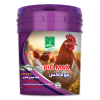 بیوماکس