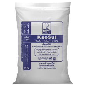 kaosul