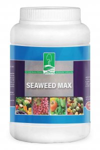 SweadeMax-new